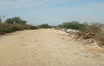 CBI: Upgrading the Khirbet al-Sanasel Road, Banias, Governorate of Tartous 