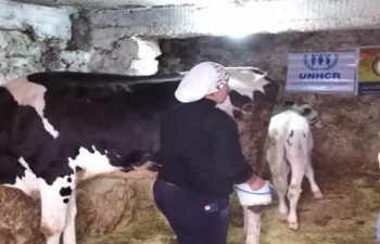 Small Business Grants  Hand in Hand for Life Rural Banias Tartous