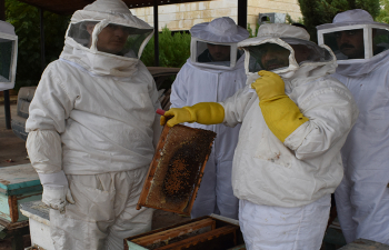 A Step Towards Success for a Brighter Life- Beekeeping 