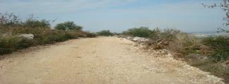 CBI: Upgrading the Khirbet al-Sanasel Road, Banias, Governorate of Tartous 