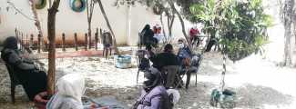 COVID-19 (1)