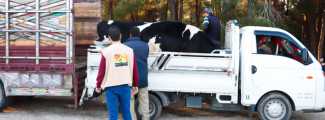  Distribution of small projects in Banias and Sheikh Badr